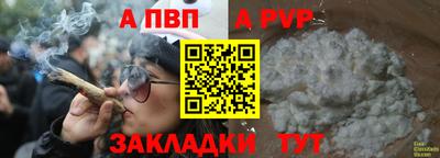 сатива Лесосибирск