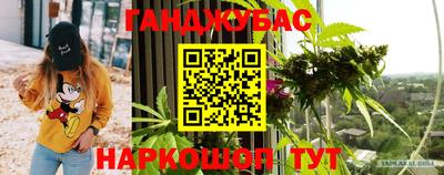 сатива Лесосибирск
