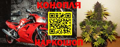 сатива Лесосибирск