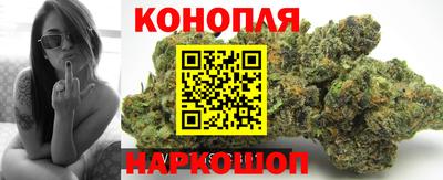 сатива Лесосибирск