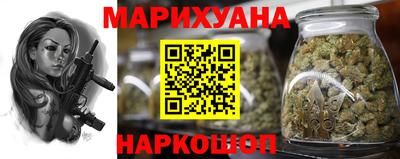 сатива Лесосибирск