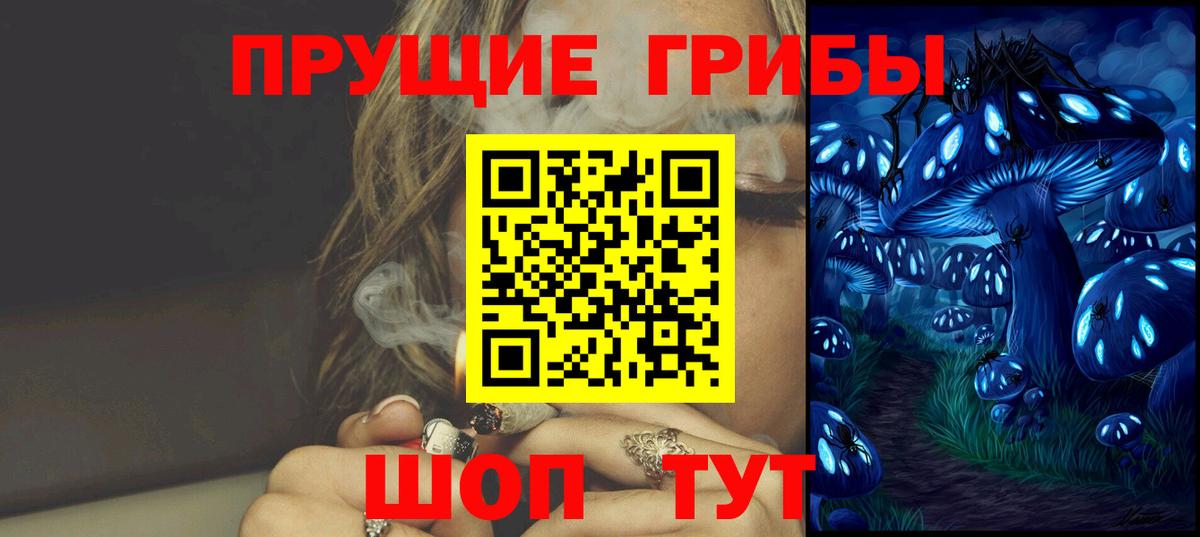 Ульяновск  Галлюциногенные грибы прущие грибы  Вход с VPN 